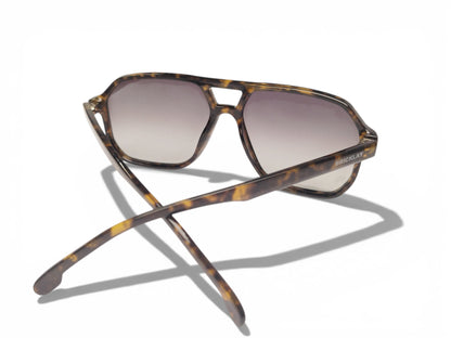 GAFAS DE SOL POLAR SHIFT- PANTHER | BRICKLAY